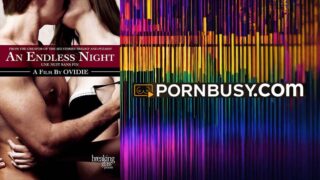 An Endless Night (2016)