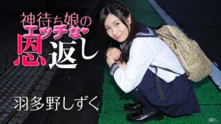 Shizuku Hatano – Repay From A Roving Girl